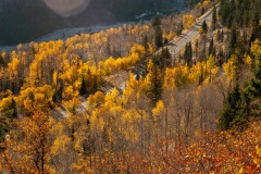 Autumn Highway || Colorado