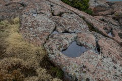 Devils Head || Colorado