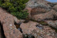 Devils Head || Colorado