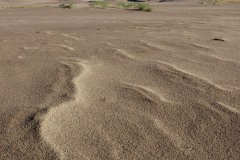Dunes Detail || Great Sand Dunes NP, CO