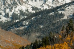 Elk Mountains in Fall || Colorado