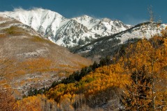 Elk Mountains in Fall || Colorado