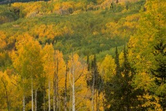 Grand Dike of the Ruby Range in Fall || Elk Mountains, CO