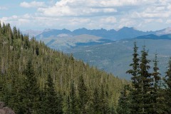 Hikers Descend || Mt of the Holy Cross, CO