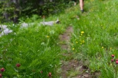 Hiking Mill Castle Trail || Colorado