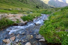 Lake Fork in American Basin || Colorado
