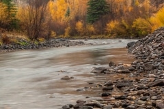 Lake Fork of the Gunnison in Fall || Colorado