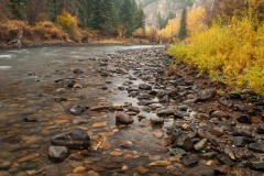 Lake Fork of the Gunnison in Fall || Colorado