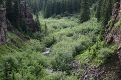 Mill Creek Canyon || West Elk Wilderness, CO