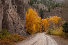Mountain Road in Fall || Colorado