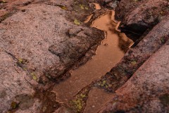 Puddle at Sunset || Mt of the Holy Cross, CO