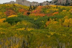 Ruby Range in Fall || Elk Mountains, CO