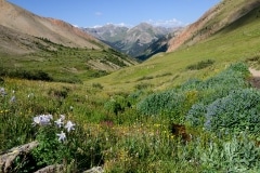 Silver Creek || Red Cloud Wilderness, CO