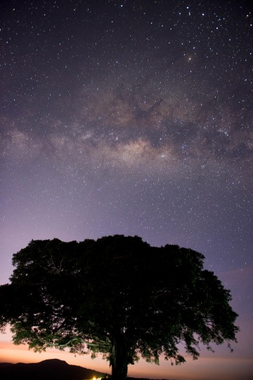 African Stars || Ngorongoro Crater, Tanzania