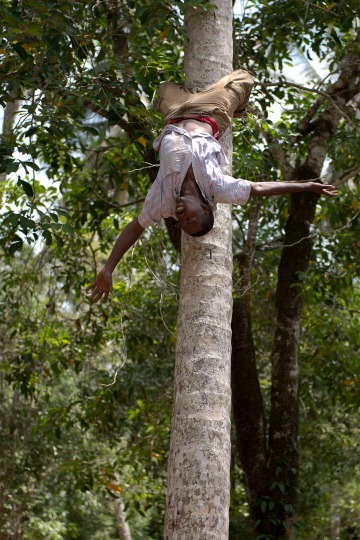 Break From Harvesting Coconuts || Zanzibar