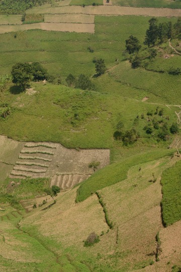 Farming Lake Mutanda || Uganda