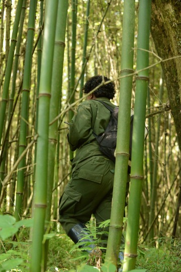 Hiking Mgahinga || Mgahinga Gorilla National Park, Uganda