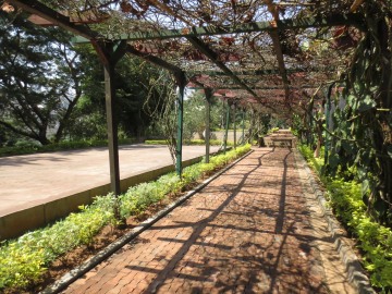 Kigali Genocide Memorial || Rwanda