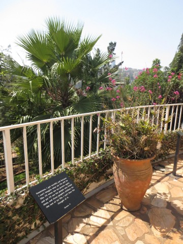Kigali Genocide Memorial || Rwanda