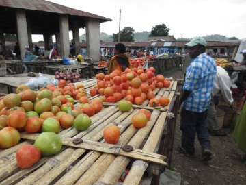 Kisoro Market || Uganda
