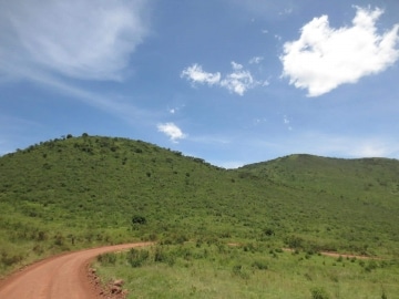Leaving the Ngorongoro Crater || Tanzania