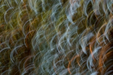 Mgahinga Abstract || Mgahinga Gorilla National Park, Uganda