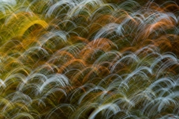 Mgahinga Abstract || Mgahinga Gorilla National Park, Uganda