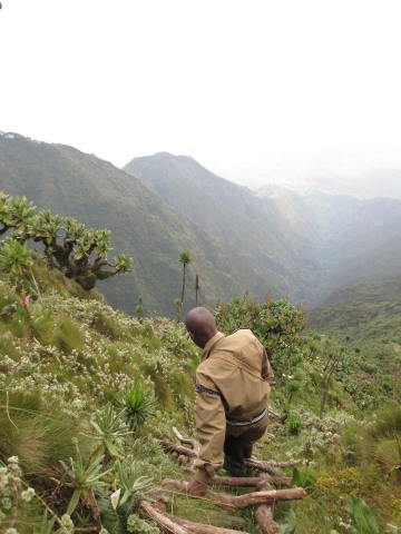 Mount Sabyinyo Hut || Mgahinga Gorilla National Park, Uganda