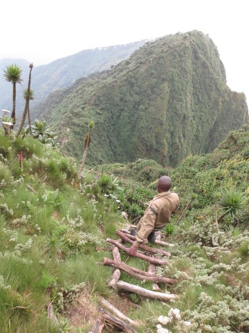 Mount Sabyinyo Hut || Mgahinga Gorilla National Park, Uganda