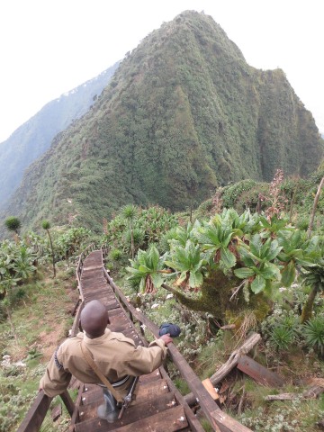 Mount Sabyinyo Hut || Mgahinga Gorilla National Park, Uganda