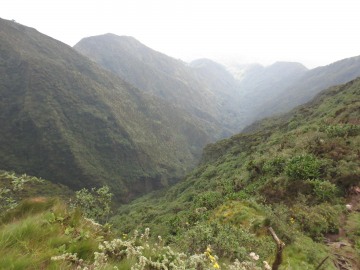 Mount Sabyinyo Hut || Mgahinga Gorilla National Park, Uganda