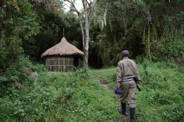 Mount Sabyinyo Hut || Mgahinga Gorilla National Park, Uganda