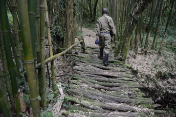Mount Sabyinyo Hut || Mgahinga Gorilla National Park, Uganda