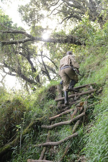 Mount Sabyinyo Hut || Mgahinga Gorilla National Park, Uganda
