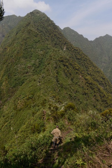 Mount Sabyinyo Hut || Mgahinga Gorilla National Park, Uganda