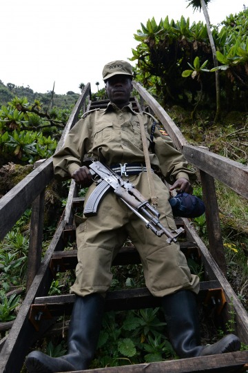 Mount Sabyinyo Hut || Mgahinga Gorilla National Park, Uganda