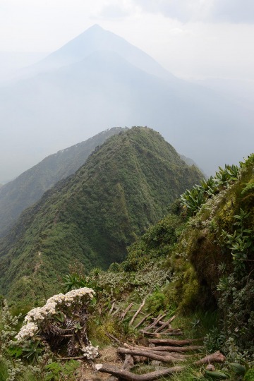 Mount Sabyinyo Hut || Mgahinga Gorilla National Park, Uganda