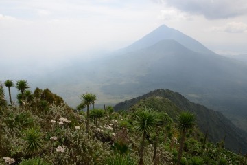 Mount Sabyinyo Hut || Mgahinga Gorilla National Park, Uganda