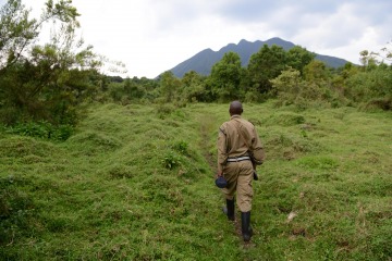 Mount Sabyinyo || Mgahinga Gorilla National Park, Uganda