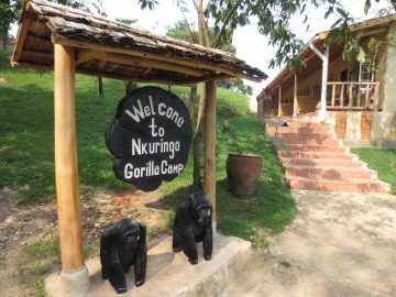 Nkuringo Bwindi Gorilla Lodge || Nkuringo, Uganda