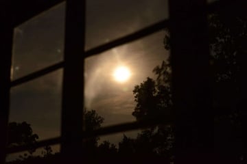 Nkuringo Moon || Uganda