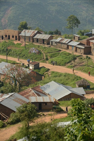Nkuringo Village || Uganda