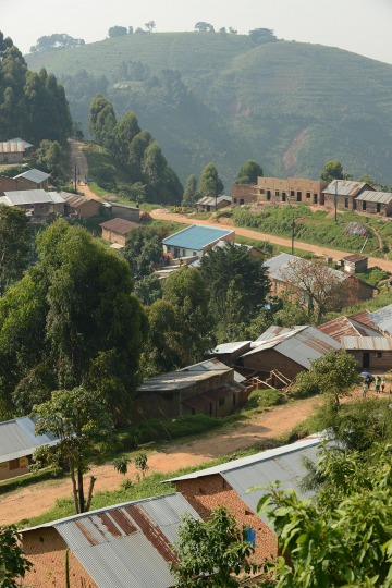 Nkuringo Village || Uganda