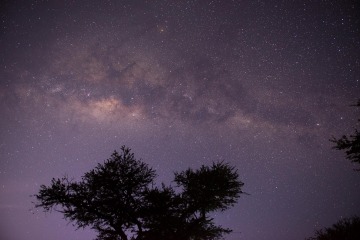 Serengeti Milky Way || Serengeti National Park, Tanzania