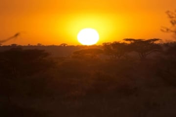 Serengeti Sunset || Serengeti National Park, Tanzania