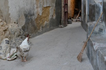 Streets of Stone Town || Zanzibar