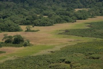 The Lush Ngurdoto Crater || Arusha National Park, Tanzania
