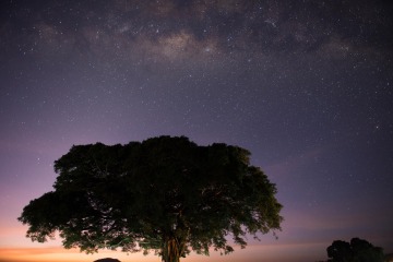 Under the Darkest Skies || Ngorongoro Crater, Tanzania