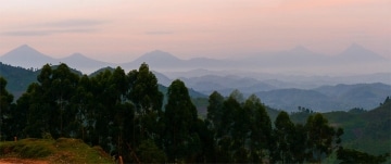 Virunga Mountains || Uganda