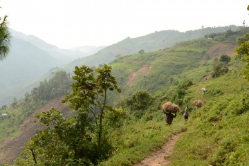 Women Working in the Virungas || Uganda
